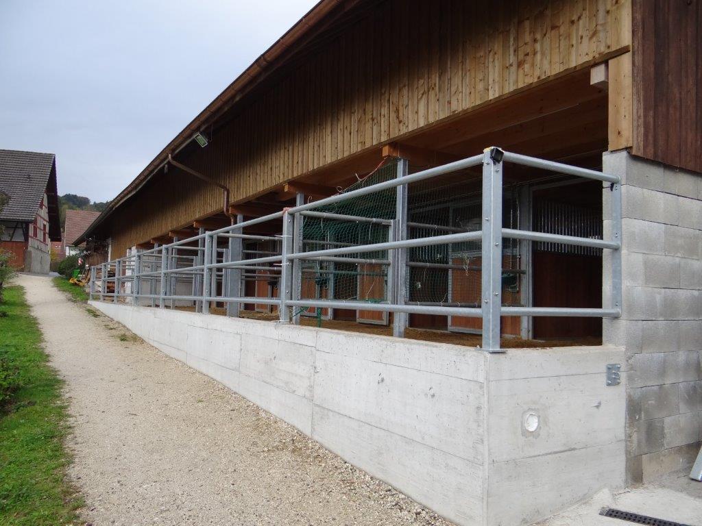 Umbau Pferdestall Spreitenbach